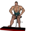 Calf Raise - Single Seated Plate